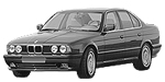 BMW E34 P1098 Fault Code